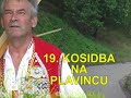 19 kosidba