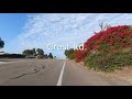 crownview and crest rd. climb palos verdes california