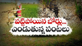 Farmers Suffering From Water For Crops  | NZB | వట్టిపోయిన బోర్లు... ఎండుతున్న పంటలు