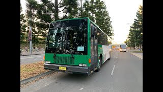 2190ST Transport Vlog 495: Sydney Olympic Park Bus Spotting