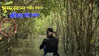 জীবিকার তাগিদে সুন্দরবনের গভীর জঙ্গলে কাঁকড়া ধরে এভাবে। Sundarban Tigers areas crab catching video