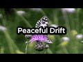 Deaceful Drift ,Soft, relax, chill music | Chillax Soundtracks