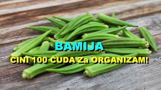 BAMIJA - ČINI 100 ČUDA ZA ORGANIZAM!