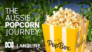 Aussie-grown snack food popping off the shelves for farmers 🍿🌽👨‍🌾 | Landline | ABC Australia