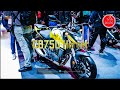 HIGHLIGHT 2024-2025 JAPANESE NEW MOTORCYCLES