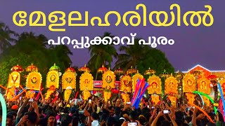 parappukkavu pooram 2024#pooram