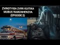 ZVINOTYISA  ZVIRI KUITIKA MUBUS RAMUNHENZVA(EPISODE 2) 