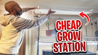 Grow Light Hanging Hacks: Expert Tips!!!