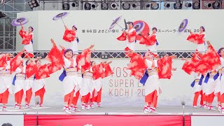 [4K] つる姫　高知よさこい祭り 2019 全国大会 (中央)