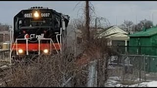 Freshly Painted CTRail Commuter Train + Amtrak Trains in Springfield, MA!