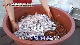 으 비려보이는데...갈치김치의 맛은 과연? [뉴 코리아 헌터] 28회 20161212