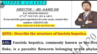 Describe the structure of fasciola hepatica. || aamir sir patna