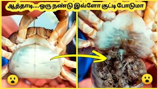 மிகவும் சுவாரசியமான விஷயங்கள் || Ten Interesting Video || Galatta Info Share