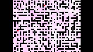 Maze Exploration: Ants algorithm