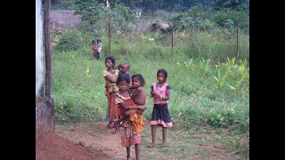 Hill-Kharia village Uparbarakamuda in the Similipal Biosphere Reserve Mayurbhanj odisha India