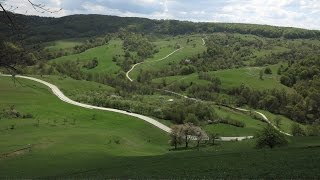 Între Buciumi și Stârciu, una dintre cele mai frumoase zone peisagistice din Sălaj. Pădurea Verde