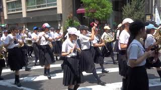 【日本のイベント】第10回 すみだストリートジャズフェスティバル Sumida Street Jazz Festival Tokyo JAPAN 2019/08/19