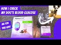 Diabetic Dog | Get blood sugar the EASY WAY! |  TIP to getting a reading on FIRST try! | Alphatrak 2