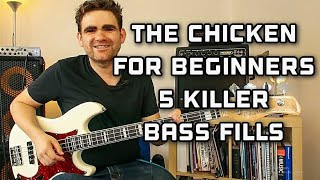 The Chicken Part 2 - 5 Killer Bass Fills For Beginners  (Jaco Pastorius Inspired Lesson)