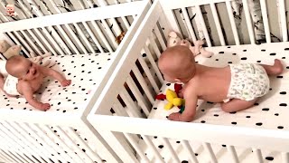 Best s Of Funny Twin Babies Compilation - Twins Baby  2021