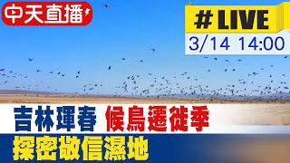 【中天直播#LIVE】吉林琿春｜候鳥遷徙季 探密敬信濕地 20240314 @全球大視野Global_Vision