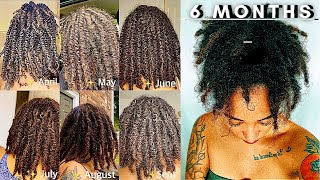 SIX MONTH STARTER LOC JOURNEY W PICTURES \u0026VIDEOS | THICK LOCS UPDATE | | \u0026 PRODUCTS !