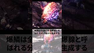 紅蓮滾るバゼルギウスの爆鱗【モンハン】#モンハン #モンスターハンター #ゲーム #モンハン雑学 #モンハン解説 #モンハン考察 #ゲーム解説 #紅蓮滾るバゼルギウス #バゼルギウス #shorts