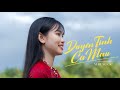 DUYÊN TÌNH CÀ MAU (LOFI VER) | NHƯ NGỌC | Biển trời bao la hương rừng xanh bát ngát NHẠC HOT TIKTOK