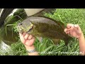 yasu 巨大魚の正体は？新釣り方 ブラックバス釣り川スモール2017年8月bassfishing