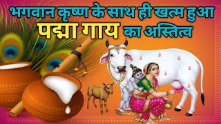 पद्मा 🐄 गाय किसे कहते है? Who is called Padma Cow?