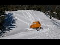 tucker kitten sno cat tearing it up