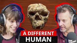 Did This Skull Just Rewrite Human History?