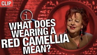 QI | What Does Wearing A Red Camellia Mean?