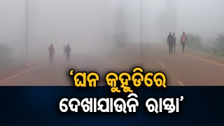 ‘ଘନ କୁହୁଡିରେ ଦେଖାଯାଉନି ରାସ୍ତା’ | Odisha Reporter