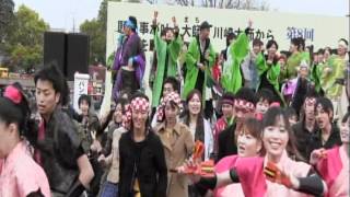 厄除けよさこい　2012　祭・WAIWAIよこはま（総踊り３）