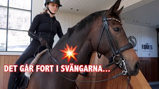 ♘ STALLVLOGG♘ HANDLAR PÅ GRANNGÅRDEN IGEN *äntligen*