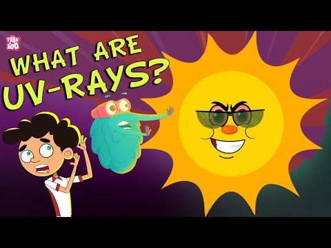 What prevents damaging ultraviolet radiation from the sun from reaching the earth?