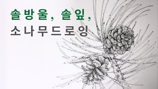 펜으로 솔방울 솔잎 묘사 | 소나무그리기