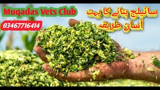 سائیلج بنانے کا مکمل اور بھت آسان طریقہ      How to make Silage and Complete  process