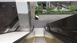 【FHD】【Escalator エスカレーター】京都駅ビル 京都劇場側 エスカレーター 下る 6F-5F