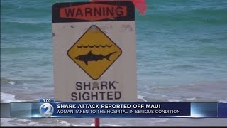 Snorkeler hospitalized after suspected shark incident