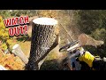 How Many Dead Trees Can We Remove In 8 hours | Stressful Day