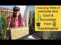 Unboxing TONS of AWESOME NEW Cacti & Succulents from @Cactimania #cactus #cacti #succulents