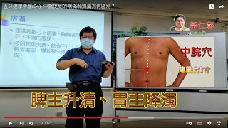 【五分鐘學中醫】(34)- 中醫提到的痞滿和胃痛有何區別？