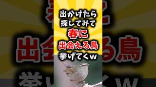 出かけたら探すべき春に出会える鳥7選#1分雑学 #動物 #雑学