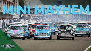 Opening lap mayhem in the all-Mini Goodwood Revival race