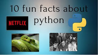 10 fun facts you don't know about python I programming kids