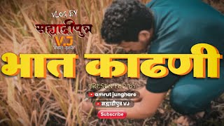 भात काढणी | भात कापणी | #Vlog By सह्याद्रीपुत्र VJ Vishal Junghare |