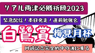 【緊急配信】白鷺賞 2023  梅見月坏 2023 で必勝祈願