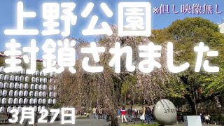 上野公園の桜を見る会は中止です【2020/3/27】